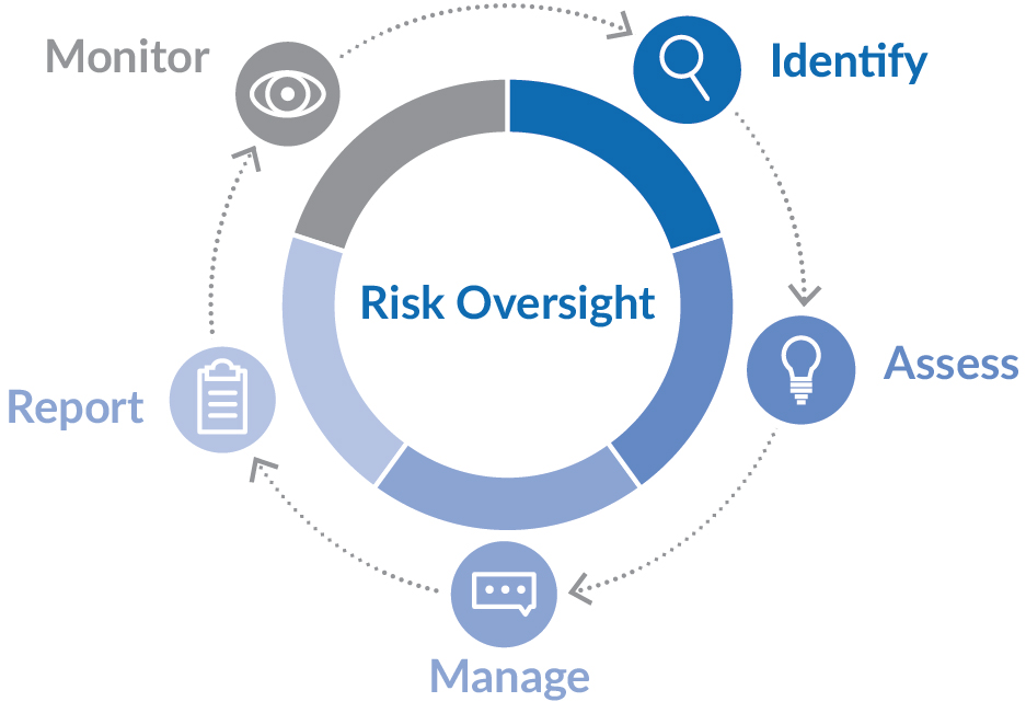 graphics_riskoversight_option1.jpg